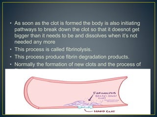 • As soon as the clot is formed the body is also initiating
pathways to break down the clot so that it doesnot get
bigger than it needs to be and dissolves when it’s not
needed any more
• This process is called fibrinolysis.
• This process produce fibrin degradation products.
• Normally the formation of new clots and the process of
fibrinolysis are in steady balance .
 