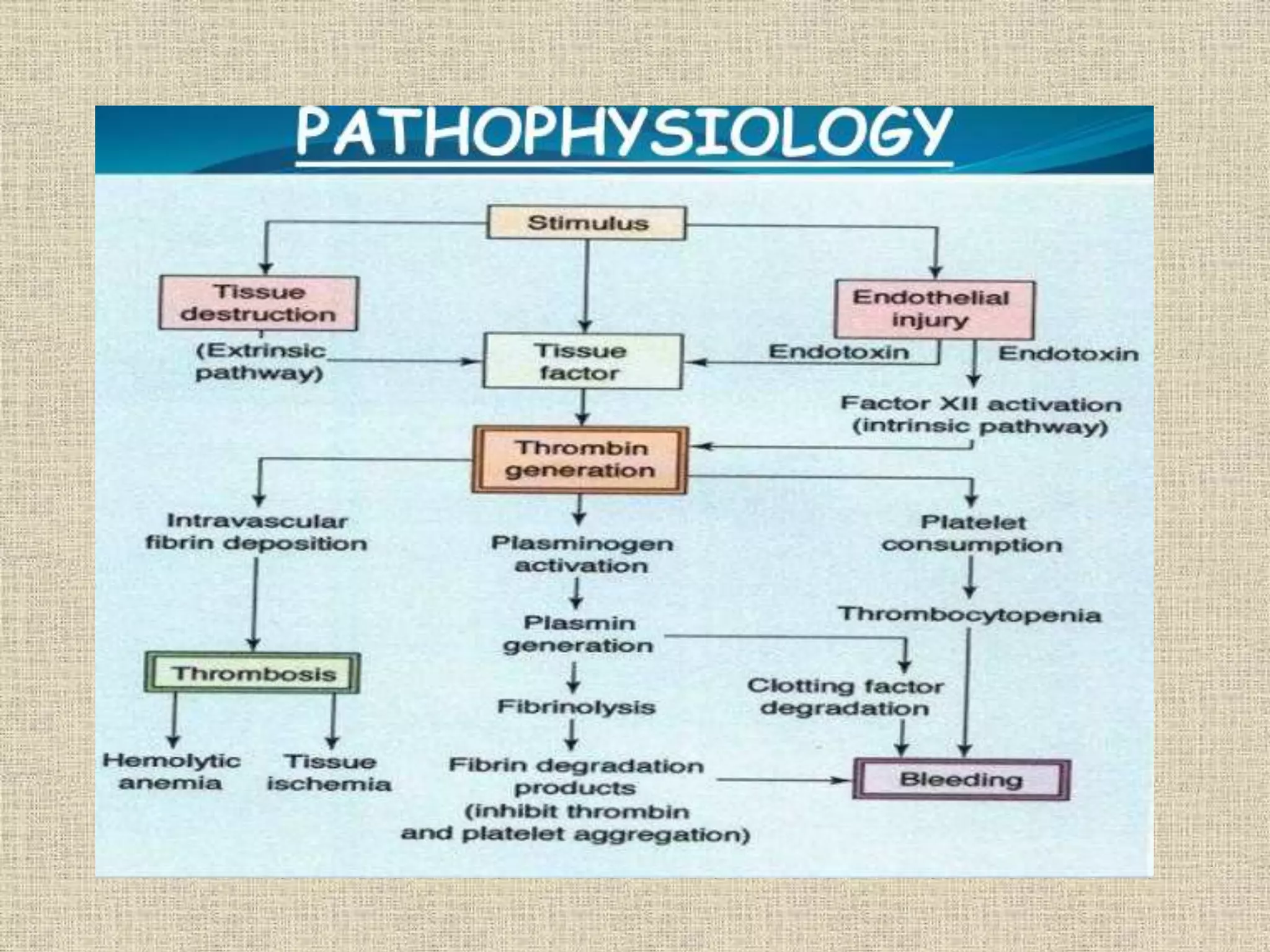 Disseminated intravascular coagulation ppt | PPTX