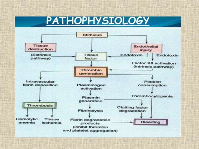 Disseminated intravascular coagulation ppt | PPTX | Blood Disorders ...