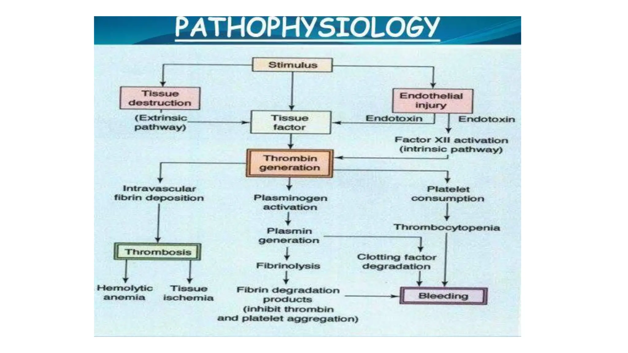 Disseminated Intravascular Coagulopathy.pdf | Blood Disorders ...