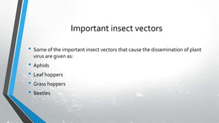 Dissemination of viruses.pptx
