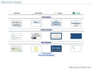 Atenció visual http://www.tff.gob.mx/ 