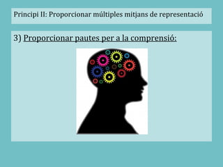3) Proporcionar pautes per a la comprensió:
Principi II: Proporcionar múltiples mitjans de representació
 