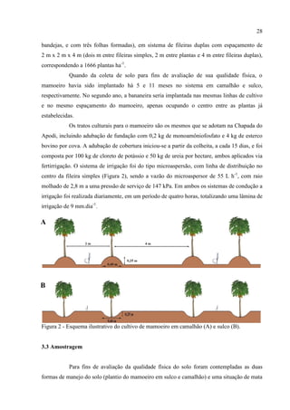 28

bandejas, e com três folhas formadas), em sistema de fileiras duplas com espaçamento de
2 m x 2 m x 4 m (dois m entre fileiras simples, 2 m entre plantas e 4 m entre fileiras duplas),
correspondendo a 1666 plantas ha-1.
           Quando da coleta de solo para fins de avaliação de sua qualidade física, o
mamoeiro havia sido implantado há 5 e 11 meses no sistema em camalhão e sulco,
respectivamente. No segundo ano, a bananeira seria implantada nas mesmas linhas de cultivo
e no mesmo espaçamento do mamoeiro, apenas ocupando o centro entre as plantas já
estabelecidas.
           Os tratos culturais para o mamoeiro são os mesmos que se adotam na Chapada do
Apodi, incluindo adubação de fundação com 0,2 kg de monoamôniofosfato e 4 kg de esterco
bovino por cova. A adubação de cobertura iniciou-se a partir da colheita, a cada 15 dias, e foi
composta por 100 kg de cloreto de potássio e 50 kg de ureia por hectare, ambos aplicados via
fertirrigação. O sistema de irrigação foi do tipo microaspersão, com linha de distribuição no
centro da fileira simples (Figura 2), sendo a vazão do microaspersor de 55 L h-1, com raio
molhado de 2,8 m a uma pressão de serviço de 147 kPa. Em ambos os sistemas de condução a
irrigação foi realizada diariamente, em um período de quatro horas, totalizando uma lâmina de
irrigação de 9 mm.dia-1.

A




B




Figura 2 - Esquema ilustrativo do cultivo de mamoeiro em camalhão (A) e sulco (B).


3.3 Amostragem


           Para fins de avaliação da qualidade física do solo foram contempladas as duas
formas de manejo do solo (plantio do mamoeiro em sulco e camalhão) e uma situação de mata
 