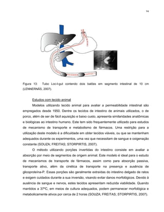 94
Figura 13: Tubo Loc-I-gut contendo dois balões em segmento intestinal de 10 cm
(LENNERNÄS, 2007).
Estudos com tecido animal
Modelos utilizando tecido animal para avaliar a permeabilidade intestinal são
empregados desde 1950. Dentre os tecidos de intestino de animais utilizados, o de
porco, além de ser de fácil aquisição e baixo custo, apresenta similaridades anatômicas
e biológicas ao intestino humano. Este tem sido frequentemente utilizado para estudos
de mecanismo de transporte e metabolismo de fármacos. Uma restrição para a
utilização deste modelo é a dificuldade em obter tecidos viáveis, ou que se mantenham
adequados durante os experimentos, uma vez que necessitam de sangue e oxigenação
constante (SOUZA; FREITAS; STORPIRTIS, 2007).
O método utilizando porções invertidas do intestino consiste em avaliar a
absorção por meio de segmentos de origem animal. Este modelo é ideal para o estudo
de mecanismos de transporte de fármacos, assim como para absorção passiva,
transporte ativo, além da cinética de transporte na presença e ausência de
glicoproteína-P. Essas porções são geralmente extraídas do intestino delgado de ratos
e exigem cuidados durante a sua inversão, visando evitar danos morfológicos. Devido à
ausência de sangue e nervos, estes tecidos apresentam reduzida viabilidade. Quando
mantidos a 37ºC, em meios de cultura adequados, podem permanecer morfológica e
metabolicamente ativos por cerca de 2 horas (SOUZA; FREITAS; STORPIRTIS, 2007).
 