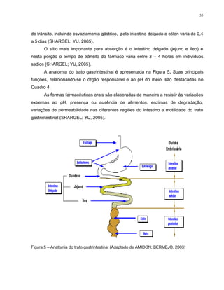 35
de trânsito, incluindo esvaziamento gástrico, pelo intestino delgado e cólon varia de 0,4
a 5 dias (SHARGEL; YU, 2005).
O sítio mais importante para absorção é o intestino delgado (jejuno e íleo) e
nesta porção o tempo de trânsito do fármaco varia entre 3 – 4 horas em indivíduos
sadios (SHARGEL; YU, 2005).
A anatomia do trato gastrintestinal é apresentada na Figura 5. Suas principais
funções, relacionando-se o órgão responsável e ao pH do meio, são destacadas no
Quadro 4.
As formas farmacêuticas orais são elaboradas de maneira a resistir às variações
extremas ao pH, presença ou ausência de alimentos, enzimas de degradação,
variações de permeabilidade nas diferentes regiões do intestino e motilidade do trato
gastrintestinal (SHARGEL; YU, 2005).
Figura 5 – Anatomia do trato gastrintestinal (Adaptado de AMIDON; BERMEJO, 2003)
 