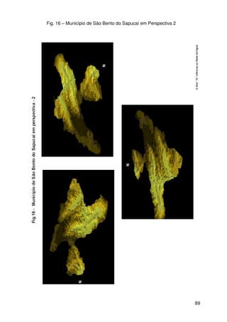 89
Fig. 16 – Município de São Bento do Sapucaí em Perspectiva 2
 
