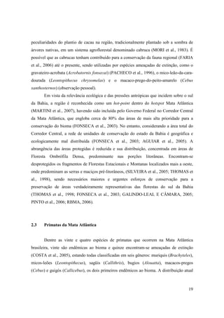 peculiaridades do plantio de cacau na região, tradicionalmente plantado sob a sombra de
árvores nativas, em um sistema agroflorestal denominado cabruca (MORI et al., 1983). É
possível que as cabrucas tenham contribuído para a conservação da fauna regional (FARIA
et al., 2006) até o presente, sendo utilizadas por espécies ameaçadas de extinção, como o
gravateiro-acrobata (Acrobatornis fonsecai) (PACHECO et al., 1996), o mico-leão-da-cara-
dourada (Leontopithecus chrysomelas) e o macaco-prego-do-peito-amarelo (Cebus
xanthosternos) (observação pessoal).
       Em vista da relevância ecológica e das pressões antrópicas que incidem sobre o sul
da Bahia, a região é reconhecida como um hot-point dentro do hotspot Mata Atlântica
(MARTINI et al., 2007), havendo sido incluída pelo Governo Federal no Corredor Central
da Mata Atlântica, que engloba cerca de 80% das áreas de mais alta prioridade para a
conservação do bioma (FONSECA et al., 2003). No entanto, considerando a área total do
Corredor Central, a rede de unidades de conservação do estado da Bahia é geográfica e
ecologicamente mal distribuída (FONSECA et al., 2003; AGUIAR et al., 2005). A
abrangência das áreas protegidas é reduzida e sua distribuição, concentrada em áreas de
Floresta   Ombrófila   Densa,   predominante    nas   porções   litorâneas.   Encontram-se
desprotegidos os fragmentos de Florestas Estacionais e Montanas localizados mais a oeste,
onde predominam as serras e maciços pré-litorâneos, (SILVEIRA et al., 2005; THOMAS et
al., 1998), sendo necessários maiores e urgentes esforços de conservação para a
preservação de áreas verdadeiramente representativas das florestas do sul da Bahia
(THOMAS et al., 1998; FONSECA et al., 2003; GALINDO-LEAL E CÂMARA, 2005;
PINTO et al., 2006; RBMA, 2006).




2.3    Primatas da Mata Atlântica


       Dentre as vinte e quatro espécies de primatas que ocorrem na Mata Atlântica
brasileira, vinte são endêmicas ao bioma e quinze encontram-se ameaçadas de extinção
(COSTA et al., 2005), estando todas classificadas em seis gêneros: muriquis (Brachyteles),
micos-leões (Leontopithecus), sagüis (Callithrix), bugios (Alouatta), macacos-pregos
(Cebus) e guigós (Callicebus), os dois primeiros endêmicos ao bioma. A distribuição atual



                                                                                       19
 
