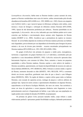 Leontopithecus chrysomelas, habita tanto as florestas úmidas e pouco sazonais da costa,
quanto as florestas semidecíduas mais secas do interior, ambas caracterizadas pela elevada
abundância de bromélias (RYLANDS et al., 1993; MORI et al., 1983). Ocorre em simpatria
com Callithrix kuhlii, o que é possível graças às diferenças ecológicas entre ambas, como
técnicas e locais de forrageio e utilização de diferentes estratos florestais (RYLANDS,
1989). Apesar de não demonstrar preferência por cabrucas, florestas perturbadas ou em
regeneração, L.chrysomelas não as evita, indicando que esses habitats podem servir como
conexões que facilitam a movimentação desses animais entre fragmentos de floresta
madura (RABOY et al., 2004). Acredita-se que a permanência da espécie no mosaico
florestal do sul da Bahia dependa da existência de florestas maduras próximas aos habitats
mais degradados, provavelmente por sua dependência de bromélias para forrageio de presas
animais e de ocos de árvores para dormida – recursos encontrados principalmente nas
florestas maduras (RYLANDS et al., 1991-1992; RYLANDS, 1996).
       Os guigós (Callicebus) são primatas de pequeno a médio porte, monogâmicos,
territoriais e organizados em grupos familiares de 2 a 6 indivíduos, constituídos pelo par
reprodutivo e seus descendentes (KINZEY, 1982). Callicebus melanochir apresenta dieta
basicamente frugívora, com consumo de folhas, flores, sementes e insetos em pequenas
quantidades e utiliza florestas maduras, florestas sujeitas a corte seletivo de madeira e
florestas secundárias, aparentemente, em função da disponibilidade de recursos em cada um
desses habitats (HEIDUCK, 1997; HEIDUCK, 2002). Utilizam os estratos médio e superior
da floresta, raramente descendo ao chão (KINZEY, 1981; MULLER, 1997) e costumam
dormir em árvores específicas, geralmente mais altas do que o dossel e com folhagem
densa (HEIDUCK, 2002). Na região de Ituberá, a espécie utiliza quase todos os habitats
florestais, com exceção de capoeiras jovens, restingas de piaçava e cultivos arbóreos de
qualquer tipo. Apesar de serem comuns e aparentemente abundantes em algumas florestas,
especialmente as da Reserva Ecológica Michelin, são raros em outras. Sua resistência a
entrar em áreas de agricultura e cruzar pequenas distâncias entre fragmentos os torna
particularmente sensíveis à fragmentação do habitat, o que indica que suas populações na
região podem estar isoladas há décadas (FLESHER, em preparação).
       Os primatas do gênero Cebus possuem tamanho médio, corpo robusto e cauda
relativamente preênsil e apresentam grande flexibilidade ecológica, habitando praticamente



                                                                                       28
 