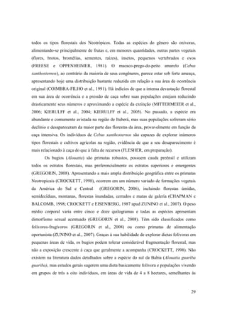 todos os tipos florestais dos Neotrópicos. Todas as espécies do gênero são onívoras,
alimentando-se principalmente de frutas e, em menores quantidades, outras partes vegetais
(flores, brotos, bromélias, sementes, raízes), insetos, pequenos vertebrados e ovos
(FREESE e OPPENHEIMER, 1981). O macaco-prego-do-peito amarelo (Cebus
xanthosternos), ao contrário da maioria de seus congêneres, parece estar sob forte ameaça,
apresentando hoje uma distribuição bastante reduzida em relação a sua área de ocorrência
original (COIMBRA-FILHO et al., 1991). Há indícios de que a intensa devastação florestal
em sua área de ocorrência e a pressão de caça sobre suas populações estejam reduzindo
drasticamente seus números e aproximando a espécie da extinção (MITTERMEIER et al.,
2006; KIERULFF et al., 2004; KIERULFF et al., 2005). No passado, a espécie era
abundante e comumente avistada na região de Ituberá, mas suas populações sofreram sério
declínio e desapareceram da maior parte das florestas da área, provavelmente em função da
caça intensiva. Os indivíduos de Cebus xanthosternos são capazes de explorar inúmeros
tipos florestais e cultivos agrícolas na região, evidência de que a seu desaparecimento é
mais relacionado à caça do que à falta de recursos (FLESHER, em preparação).
       Os bugios (Alouatta) são primatas robustos, possuem cauda preênsil e utilizam
todos os estratos florestais, mas preferencialmente os estratos superiores e emergentes
(GREGORIN, 2008). Apresentando a mais ampla distribuição geográfica entre os primatas
Neotropicais (CROCKETT, 1998), ocorrem em um número variado de formações vegetais
da América do Sul e Central          (GREGORIN, 2006), incluindo florestas úmidas,
semidecíduas, montanas, florestas inundadas, cerrados e matas de galeria (CHAPMAN e
BALCOMB, 1998; CROCKETT e EISENBERG, 1987 apud ZUNINO et al., 2007). O peso
médio corporal varia entre cinco e doze quilogramas e todas as espécies apresentam
dimorfismo sexual acentuado (GREGORIN et al., 2008). Têm sido classificados como
folívoros-frugívoros (GREGORIN et al., 2008) ou como primatas de alimentação
oportunista (ZUNINO et al., 2007). Graças à sua habilidade de explorar dietas folívoras em
pequenas áreas de vida, os bugios podem tolerar considerável fragmentação florestal, mas
não a exposição crescente à caça que geralmente a acompanha (CROCKETT, 1998). Não
existem na literatura dados detalhados sobre a espécie do sul da Bahia (Alouatta guariba
guariba), mas estudos gerais sugerem uma dieta basicamente folívora e populações vivendo
em grupos de três a oito indivíduos, em áreas de vida de 4 a 8 hectares, semelhantes às



                                                                                       29
 