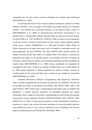 encontradas para Alouatta guariba clamitans (subespécie de ocorrência mais meridional)
(MACHADO et al., 2008).
       Os muriquis (Brachyteles) são os maiores primatas neotropicais, endêmicos da Mata
Atlântica brasileira, vivem em grupos multi-machos que podem alcançar até cinqüenta
animais e vem sofrendo com a destruição florestal e a caça intensiva desde o século 16
(MITTERMEIER et al., 2006). O muriqui-do-norte (Brachyteles hypoxanthus) é um
primata diurno e essencialmente arbóreo, podendo descer ao chão para atravessar lacunas
no dossel (DIB et al., 1997 em BRITTO e GRELLE, 2006). Locomove-se por braquiação,
no alto das árvores e alimenta-se basicamente de frutos, flores e folhas, podendo também
utilizar cascas e bambus (NISHIMURA et al., 1988 apud TALEBI e ADES, 2004). As
fêmeas dispersam de seu grupo natal pouco antes de atingirem a maturidade sexual, com
aproximadamente sete anos (STRIER, 1991 apud STRIER, 2006). Estudos recentes nos
Parques Nacionais do Rio Doce (MG) e do Caparaó (MG e ES) indicam a ocorrência de
populações que podem ser tão grandes quanto as encontradas na Reserva Ecológica de
Caratinga, e outras buscas nos últimos anos localizaram populações em doze localidades do
Espírito Santo (MITTERMEIER et al., 2006). Grupos encontrados em fragmentos da
localidade de Alto Cariri, fronteira do nordeste de Minas Gerais com a Bahia (MELO et
al., 2004), podem representar as últimas populações da espécie no estado e levaram ao
reconhecimento da área como prioritária para a criação de uma unidade de conservação
(MITTERMEIER et al., 2006).
       Enquanto informações ecológicas e biogeográficas estão disponíveis, estimativas
sobre os números populacionais dos primatas que subsistem nos fragmentos florestais do
sul da Bahia são antigas ou inexistentes (RYLANDS, 1989; PINTO, 1994a; LIMA, 1990
apud PAGLIA, 2003). Sendo assim, é imprescindível gerar dados sobre os tamanhos das
populações e, quando possível, estimativas de densidades absolutas que tragam
informações sobre o estado de conservação e a possibilidade de sobrevivência dos primatas
remanescentes nesses fragmentos florestais (GONZÁLES-SOLIS, 2001; PAGLIA, 2003;
KIERULFF et al., 2005). Um bom ponto de partida no estudo da abundância de primatas é
questionar se espécies que ocorrem em baixas densidades em uma comunidade aparecem
assim também em outras, ou seja, realizar comparações entre as abundâncias das mesmas
espécies em diferentes áreas (COWLISHAW e DUNBAR, 2000).



                                                                                      30
 