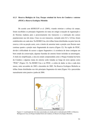 4.1.3 Reserva Biológica de Una, Parque estadual da Serra do Conduru e entorno
       (PESC) e Reserva Ecológica Michelin



       De acordo com KIERULFF et al. (2005), visando otimizar o esforço de campo,
foram escolhidos os principais fragmentos de mata em estágio avançado de regeneração e
de florestas maduras para o posicionamento dos transectos e a realização dos censos
populacionais nas três áreas. Cinco ou seis transectos, variando entre 0,5 e 3,0 km, foram
estabelecidos em cada área. Na REBIO Una, três trilhas foram distribuídas na parte leste da
reserva e três na porção oeste, com o intuito de amostrar tanto a porção com floresta mais
contínua quanto a porção mais fragmentada da reserva (Figura 12). Na região do PESC,
devido à dificuldade de acesso a alguns fragmentos e à existência de áreas contíguas em
bom estado de conservação, algumas fazendas do entorno foram incluídas na amostragem.
A título de simplificação, a área de estudo compreendida como o Parque Estadual da Serra
do Conduru e algumas matas do entorno serão tratadas ao longo do texto apenas como
“PESC” (Figura 13). Na REBIO Una e no PESC, a coleta de dados se deu a cada dois
meses, entre novembro de 2002 e dezembro de 2003. Na Reserva Ecológica Michelin as
trilhas foram distribuídas nos três principais fragmentos de mata (Figura 14) e percorridas
mensalmente entre janeiro e junho de 2004.




     Figura 11. Localização das três áreas amostradas em estudo prévio realizado pelo IESB. (1) Reserva
     Biológica de Una; (2) Parque Estadual Serra do Conduru; (3) Reserva Ecológica Michelin.


                                                                                                      51
 