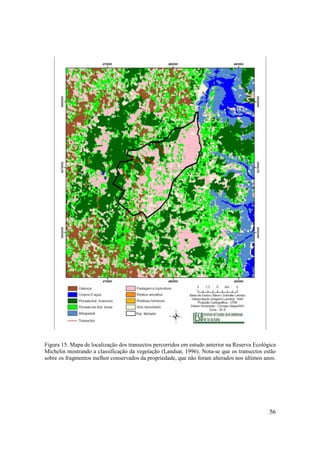 Figura 15. Mapa de localização dos transectos percorridos em estudo anterior na Reserva Ecológica
Michelin mostrando a classificação da vegetação (Landsat, 1996). Nota-se que os transectos estão
sobre os fragmentos melhor conservados da propriedade, que não foram alterados nos últimos anos.




                                                                                              56
 
