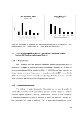 Cebus xanthosternos (n = 16)                                 Callithrix kuhlii (n=15)
                               Lontras e Javi                                             Lontras e Javi


           8
                                                                           6
                                                                       A
      A
           7                                                           v
      v                                                                    5
           6                                                           i
      i
                                                                       s   4
      s
           5                                                           t
      t
           4                                                           a   3
      a
                                                                       m
      m    3                                                           e   2
      e
           2                                                           n
      n                                                                    1
                                                                       t
      t    1                                                           o
      o                                                                    0
           0                                                                   0-4     5-9    10-14   15-19     20- 24    25 ou >
                 0- 9      10 - 19   20-29   30-39   40-49   50 ou >
                                                                                     Distâncias Perpendiculares (m)
                         Distâncias Perpendiculares (m)




Figura 16. Histogramas de freqüência das distâncias perpendiculares de avistamento de Cebus
xanthosternos (n = 16) e Callithrix kuhlii (n = 15) nas Serras das Lontras e Javi.



5.2         Reserva Biológica de Una (REBIO Una), Parque Estadual da Serra do
          Conduru (PESC) e Reserva Ecológica Michelin


5.2.1 Esforço amostral

               Para a coleta dos dados nos outros três fragmentos florestais, pesquisadores do IESB
percorreram: 1) 284 km ao longo de seis transectos na Reserva Biológica de Una, entre os
meses de dezembro de 2002 e setembro de 2003; 2) 228,250 km em cinco transectos no
Parque Estadual da Serra do Conduru, entre os meses de novembro de 2002 e novembro de
2003; e 3) 247 km em seis transectos na Reserva Ecológica Michelin, de janeiro a junho de
2004, totalizando 759,250 km de censos de primatas nas três áreas.



5.2.2 Avistamentos de primatas

               Um total de 111 grupos de primatas foi avistado nas três áreas de estudo. As
comunidades de primatas não são iguais entre as três áreas, havendo variação na ocorrência
das quatro espécies registradas (Tabela 4). Com relação aos Callithrix, existem dificuldades
e dúvidas na identificação ao longo da região sul da Bahia. Nas Serras das Lontras e Javi,
bem como na REBIO Una e na região do PESC, as populações correspondem à espécie



                                                                                                                         66
 