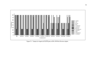 55
B0 B100-C B100-F B100-Fr B100-M B100-Ar B100-Pm B100-G B100-S B100-Sb B100-A
0
10
20
30
40
50
60
70
80
TV-DCPIP(h)
Combustivel
B. subtilis
E. coli
S. aureus
S. lutea
P. aeruginosa
S. cerevisiae
Candida sp
R. mucilaginosa
C. lipolytica
A. niger
F. moniliforme
T. wortmanii
Figura 21– Tempo de viragem do DCPIP para os B0 e B100 de diversas origens.
 