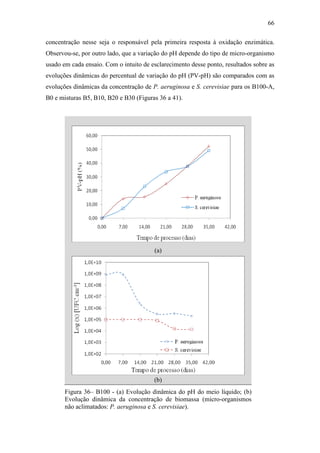 66
concentração nesse seja o responsável pela primeira resposta à oxidação enzimática.
Observou-se, por outro lado, que a variação do pH depende do tipo de micro-organismo
usado em cada ensaio. Com o intuito de esclarecimento desse ponto, resultados sobre as
evoluções dinâmicas do percentual de variação do pH (PV-pH) são comparados com as
evoluções dinâmicas da concentração de P. aeruginosa e S. cerevisiae para os B100-A,
B0 e misturas B5, B10, B20 e B30 (Figuras 36 a 41).
(a)
(b)
Figura 36– B100 - (a) Evolução dinâmica do pH do meio líquido; (b)
Evolução dinâmica da concentração de biomassa (micro-organismos
não aclimatados: P. aeruginosa e S. cerevisiae).
 