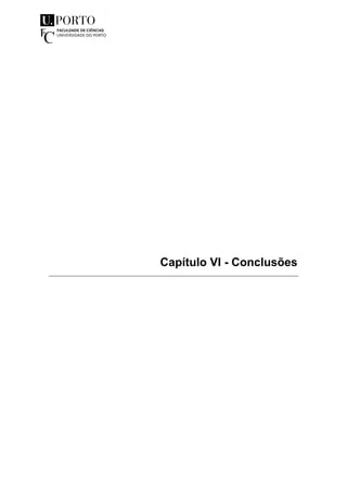 Capítulo VI - Conclusões
 