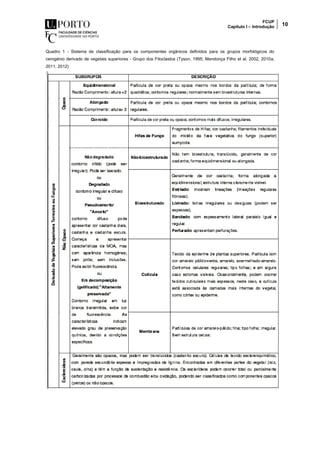 FCUP
Capítulo I – Introdução 10
Quadro 1 - Sistema de classificação para os componentes orgânicos definidos para os grupos morfológicos do
cerogénio derivado de vegetais superiores - Grupo dos Fitoclastos (Tyson, 1995; Mendonça Filho et al. 2002, 2010a,
2011, 2012)
 