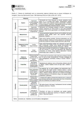 FCUP
Capítulo I – Introdução 11
Quadro 2 - Sistema de classificação para os componentes orgânicos definidos para os grupos morfológicos do
cerogénio - Grupo dos Palinomorfos (Tyson, 1995; Mendonça Filho et al. 2002, 2010a, 2011, 2012)
 