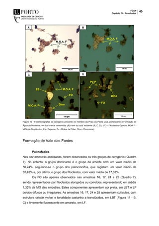 FCUP
Capítulo IV - Resultados
45
Figura 10 - Fotomicrografias de cerogénio presente no membro da Praia da Pedra Lisa, pertencente à Formação de
Água de Madeiros, em luz branca transmitida (A) e em luz azul incidente (B, C, D). (FO - Fitoclastos Opacos; MOA F -
MOA de fitoplâncton; Es - Esporos; Po - Grãos de Pólen; Dino - Dinocistos).
Formação de Vale das Fontes
Palinofácies
Nas dez amostras analisadas, foram observados os três grupos de cerogénio (Quadro
7). No entanto, o grupo dominante é o grupo da amorfa com um valor médio de
50,24%, seguindo-se o grupo dos palinomorfos, que registam um valor médio de
32,42% e, por último, o grupo dos fitoclastos, com valor médio de 17,33%.
Os FO são apenas observados nas amostras 16, 17, 24 e 25 (Quadro 7),
sendo representados por fitoclastos alongados ou corroídos, representando em média
1,35% da MO das amostras. Estes componentes apresentam cor preta, em LBT e LF
bordos difusos ou irregulares. As amostras 16, 17, 24 e 25 apresentam cutículas, com
estrutura celular visível e tonalidade castanha a translúcidas, em LBT (Figura 11 - B,
C) e levemente fluorescente em amarelo, em LF.
A B
C
A
D
ES M.O.A. F
DinoM.O.A. F
Dino
Po P
FO
FO
M.O.A. F
M.O.A. F
 