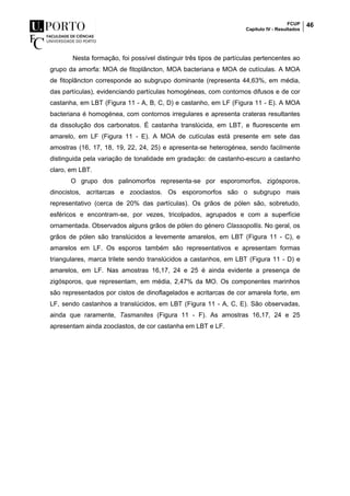 FCUP
Capítulo IV - Resultados
46
Nesta formação, foi possível distinguir três tipos de partículas pertencentes ao
grupo da amorfa: MOA de fitoplâncton, MOA bacteriana e MOA de cutículas. A MOA
de fitoplâncton corresponde ao subgrupo dominante (representa 44,63%, em média,
das partículas), evidenciando partículas homogéneas, com contornos difusos e de cor
castanha, em LBT (Figura 11 - A, B, C, D) e castanho, em LF (Figura 11 - E). A MOA
bacteriana é homogénea, com contornos irregulares e apresenta crateras resultantes
da dissolução dos carbonatos. É castanha translúcida, em LBT, e fluorescente em
amarelo, em LF (Figura 11 - E). A MOA de cutículas está presente em sete das
amostras (16, 17, 18, 19, 22, 24, 25) e apresenta-se heterogénea, sendo facilmente
distinguida pela variação de tonalidade em gradação: de castanho-escuro a castanho
claro, em LBT.
O grupo dos palinomorfos representa-se por esporomorfos, zigósporos,
dinocistos, acritarcas e zooclastos. Os esporomorfos são o subgrupo mais
representativo (cerca de 20% das partículas). Os grãos de pólen são, sobretudo,
esféricos e encontram-se, por vezes, tricolpados, agrupados e com a superfície
ornamentada. Observados alguns grãos de pólen do género Classopollis. No geral, os
grãos de pólen são translúcidos a levemente amarelos, em LBT (Figura 11 - C), e
amarelos em LF. Os esporos também são representativos e apresentam formas
triangulares, marca trilete sendo translúcidos a castanhos, em LBT (Figura 11 - D) e
amarelos, em LF. Nas amostras 16,17, 24 e 25 é ainda evidente a presença de
zigósporos, que representam, em média, 2,47% da MO. Os componentes marinhos
são representados por cistos de dinoflagelados e acritarcas de cor amarela forte, em
LF, sendo castanhos a translúcidos, em LBT (Figura 11 - A, C, E). São observadas,
ainda que raramente, Tasmanites (Figura 11 - F). As amostras 16,17, 24 e 25
apresentam ainda zooclastos, de cor castanha em LBT e LF.
 
