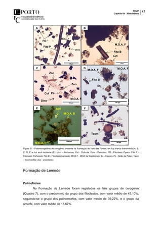 FCUP
Capítulo IV - Resultados
47
Figura 11 - Fotomicrografias de cerogénio presente na Formação de Vale das Fontes, em luz branca transmitida (A, B,
C, D, F) e luz azul incidente (E). (Acri – Acritarcas; Cut - Cutícula; Dino - Dinocisto; FO - Fitoclasto Opaco; Fito P -
Fitoclasto Perfurado; Fito B - Fitoclasto bandado; MOA F - MOA de fitoplâncton; Es - Esporo; Po - Grão de Pólen; Tasm
– Tasmanites; Zoo - Zooclasto).
Formação de Lemede
Palinofácies
Na Formação de Lemede foram registados os três grupos de cerogénio
(Quadro 7), com o predomínio do grupo dos fitoclastos, com valor médio de 45,10%,
seguindo-se o grupo dos palinomorfos, com valor médio de 39,22%, e o grupo da
amorfa, com valor médio de 15,67%.
A B
C
A
D
M.O.A. F
Fito B
Cut
M.O.A. F
Fito P
FO
Dino
Cut
Zoo
Zoo
M.O.A. F
Dino
Po
M.O.A. F M.O.A. F
Es
Fito B
F
C
C
C
A
E
C
C
C
A
M.O.A. F
Acri
M.O.A. B
Tasm
 