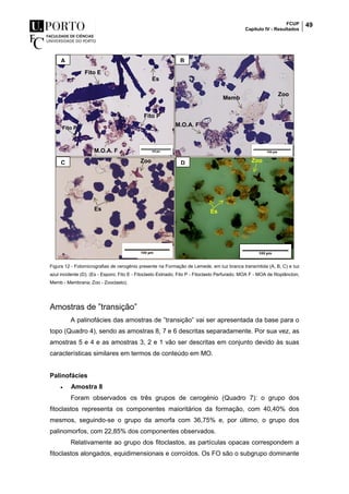 FCUP
Capítulo IV - Resultados
49
Figura 12 - Fotomicrografias de cerogénio presente na Formação de Lemede, em luz branca transmitida (A, B, C) e luz
azul incidente (D). (Es - Esporo; Fito E - Fitoclasto Estriado; Fito P - Fitoclasto Perfurado; MOA F - MOA de fitoplâncton;
Memb - Membrana; Zoo - Zooclasto).
Amostras de ”transição”
A palinofácies das amostras de ”transição” vai ser apresentada da base para o
topo (Quadro 4), sendo as amostras 8, 7 e 6 descritas separadamente. Por sua vez, as
amostras 5 e 4 e as amostras 3, 2 e 1 vão ser descritas em conjunto devido às suas
características similares em termos de conteúdo em MO.
Palinofácies
 Amostra 8
Foram observados os três grupos de cerogénio (Quadro 7): o grupo dos
fitoclastos representa os componentes maioritários da formação, com 40,40% dos
mesmos, seguindo-se o grupo da amorfa com 36,75% e, por último, o grupo dos
palinomorfos, com 22,85% dos componentes observados.
Relativamente ao grupo dos fitoclastos, as partículas opacas correspondem a
fitoclastos alongados, equidimensionais e corroídos. Os FO são o subgrupo dominante
A B
C
A
D
M.O.A. F
Memb
Zoo
Fito P
M.O.A. F
Fito E
Es
Es Es
Fito P
Zoo Zoo
 
