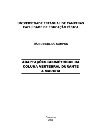 UNIVERSIDADE ESTADUAL DE CAMPINAS
   FACULDADE DE EDUCAÇÃO FÍSICA




       MÁRIO HEBLING CAMPOS




  ADAPTAÇÕES GEOMÉTRICAS DA
  COLUNA VERTEBRAL DURANTE
          A MARCHA




              Campinas
                2005
 