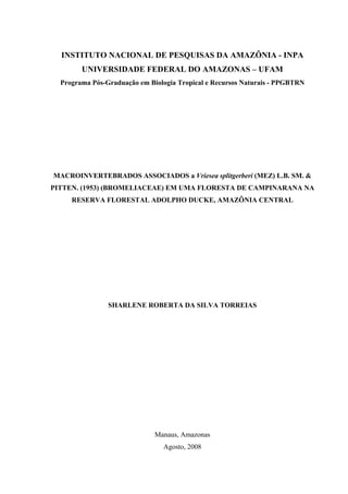 INSTITUTO NACIONAL DE PESQUISAS DA AMAZÔNIA - INPA
UNIVERSIDADE FEDERAL DO AMAZONAS – UFAM
Programa Pós-Graduação em Biologia Tropical e Recursos Naturais - PPGBTRN
MACROINVERTEBRADOS ASSOCIADOS a Vriesea splitgerberi (MEZ) L.B. SM. &
PITTEN. (1953) (BROMELIACEAE) EM UMA FLORESTA DE CAMPINARANA NA
RESERVA FLORESTAL ADOLPHO DUCKE, AMAZÔNIA CENTRAL
SHARLENE ROBERTA DA SILVA TORREIAS
Manaus, Amazonas
Agosto, 2008
 