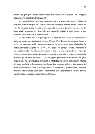 66

pontos de poluição foram identificados em campo e ilustrados em imagens
adquiridas no Google Earth (Figura 4).
As agroindústrias estudadas representam a maioria das agroindústrias de
pequeno porte da Região da Quarta Colônia de Imigração Italiana do Rio Grande do
sul. Os córregos dessa Região em estudo são a maioria de primeira ordem e de
baixa vazão podendo ter interrupção em casos de estiagens prolongadas, o que
diminui a capacidade de autodepuração.
As nascentes dos córregos frigorífico e abatedouro de aves se localizam em
áreas de campo com pastagens perenes (Figura 4A e 4D). Já nos córregos licores e
vinho, as nascentes estão localizadas dentro de mata densa sem influências de
outras atividades (Figura 4B e 4C). Ao longo do córrego licores, referente a
agroindústria sabor do vale, existem várias fontes pontuais de poluição provindas de
inúmeras casas (Figura 4B). No córrego frigorífico a principal fonte de contaminação
é difusa, proveniente de campo com pastagens permanentes e criação de gado
(Figura 4D). As agroindústrias Simonetti e Abatedouro de aves apresentam intensa
atividade agrícola e de pastagens ao longo dos córregos vinhos e abatedouro de
aves, os quais estão totalmente desprovidos de mata ciliar (Figura 4C e 4D). Nota-se
descaso total à mata ciliar pelos proprietários das agroindústrias e dos demais
produtores das terras que circundam os córregos.

 