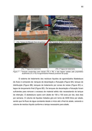 85

(7A). Tanque de filtração física de gordura

(7B).Tanques de tratamento por zona de raízes

(7C). 1ª lagoa de tratamento

(7D). 3ª lagoa de tratamento

Figura 7 - Tanques construídos para estudo (7A e 7B), e das lagoas usadas pelo proprietário
atualmente (7C e 7D) na agroindústria Parlacto produtora de queijo.

O sistema de tratamento dos resíduos líquidos da agroindústria Abatedouro
de Aves é composto de: tanques de decantação e flutuação (Figura 8A); tanque de
distribuição (Figura 8B); tanques de tratamento por zonas de raízes (Figura 8C) e;
lagoa de lançamento final (Figura 8D). Os tanques de decantação e flutuação foram
suficientes para remover o excesso de material sólido não necessitando do tanque
de retenção. O abatedouro opera com abate de 100 a 150 aves por dia, dois dias
por semana. O volume de líquidos tratados gira em torno de 4000 litros por abate,
sendo que há fluxo de água constante desde o início até o final do abate, variando o
volume de resíduo líquido conforme o tempo necessário para abate.

 