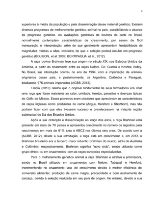 4
superiores à média da população e pela disseminação desse material genético. Existem
diversos programas de melhoramento genético animal no país, possibilitando o alcance
do progresso genético. As avaliações genéticas de bovinos de corte no Brasil,
normalmente contemplam características de crescimento, por serem de fácil
mensuração e interpretação, além de que geralmente apresentam herdabilidade de
magnitudes médias a altas, indicativo de que a seleção poderá resultar em progresso
genético (BOLIGON, et al. 2009; BERTIPAGLIA et al., 2012).
A raça bovina Brahman teve sua origem no século XIX, nos Estados Unidos da
América, a partir do cruzamento entre as raças Nelore, Gir, Guzerá e Krishna Valley.
No Brasil, sua introdução ocorreu no ano de 1994, com a importação de animais
originários desse país, e posteriormente, da Argentina, Colômbia e Paraguai,
totalizando 976 animais importados (ACBB, 2012).
Felício (2010) relatou que o objetivo fundamental de seus formadores era criar
uma raça que fosse resistente ao calor, umidade, insetos, parasitas e doenças típicas
do Golfo do México. Esses pioneiros eram criadores que apreciavam as características
de raças inglesas como produtoras de carne (Angus, Hereford e Shorthorn), mas não
podiam fazer com que elas tivessem sucesso e prevalecessem na inóspita região
subtropical do Sul dos Estados Unidos.
Após a sua obtenção e disseminação ao longo dos anos, a raça Brahman está
presente em mais de 70 países e apresentou crescimento no número de registros para
nascimentos em mais de 81% junto à ABCZ nos últimos seis anos. De acordo com a
(ACBB, 2012), desde a sua introdução, a raça está em crescimento e, em 2012, o
Brahman brasileiro era o terceiro maior rebanho Brahman do mundo, atrás de Austrália
e Colômbia, respectivamente. Brahman significa “novo ciclo”, sendo utilizada como
grupo étnico ou em cruzamentos com as raças europeias especializadas.
Para o melhoramento genético animal a raça Brahman é atrativa e promissora,
sendo no Brasil utilizado em cruzamentos com Nelore, Tabapuã e Hereford,
incrementando no cruzamento taxa de crescimento devido à melhor eficiência de
conversão alimentar, produção de carne magra, precocidade e bom acabamento de
carcaça, devido à seleção realizada em seu país de origem. No entanto, devido a sua
 