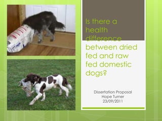 Is there a health difference between dried fed and raw fed domestic dogs?                                       Dissertation Proposal Hope Turner 23/09/2011 