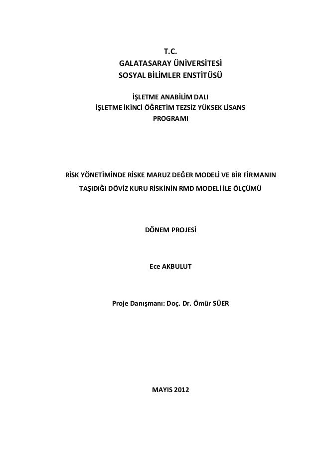 Dissertation on financial risk management
