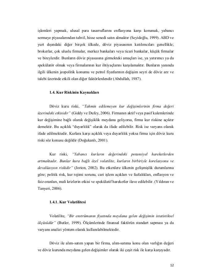 Dissertation on financial risk management