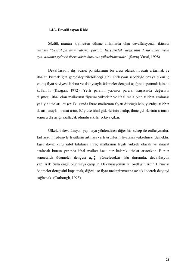 Dissertation on financial risk management