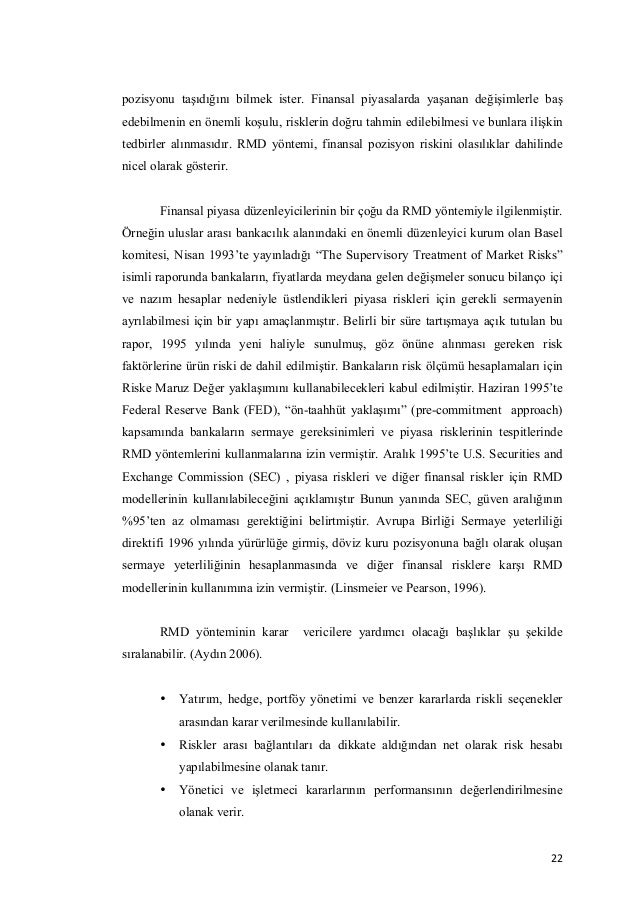 Dissertation on financial risk management