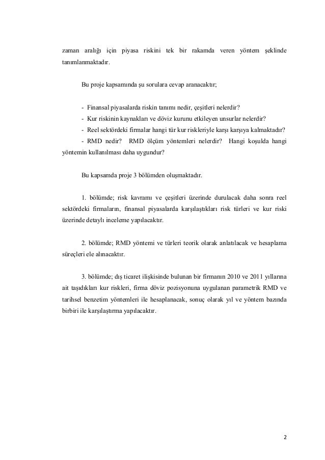 Risk management thesis pdf picture