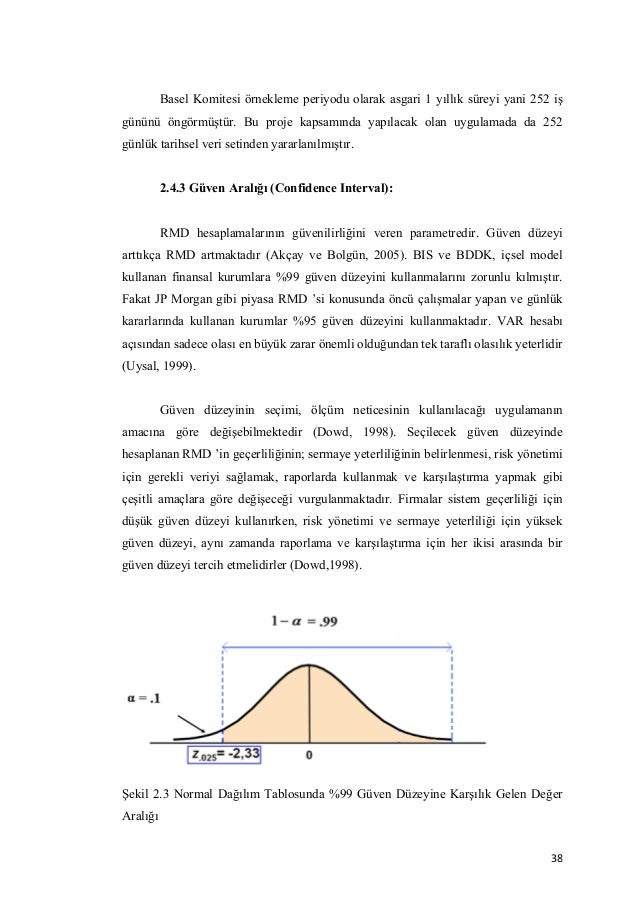 Dissertation on financial risk management