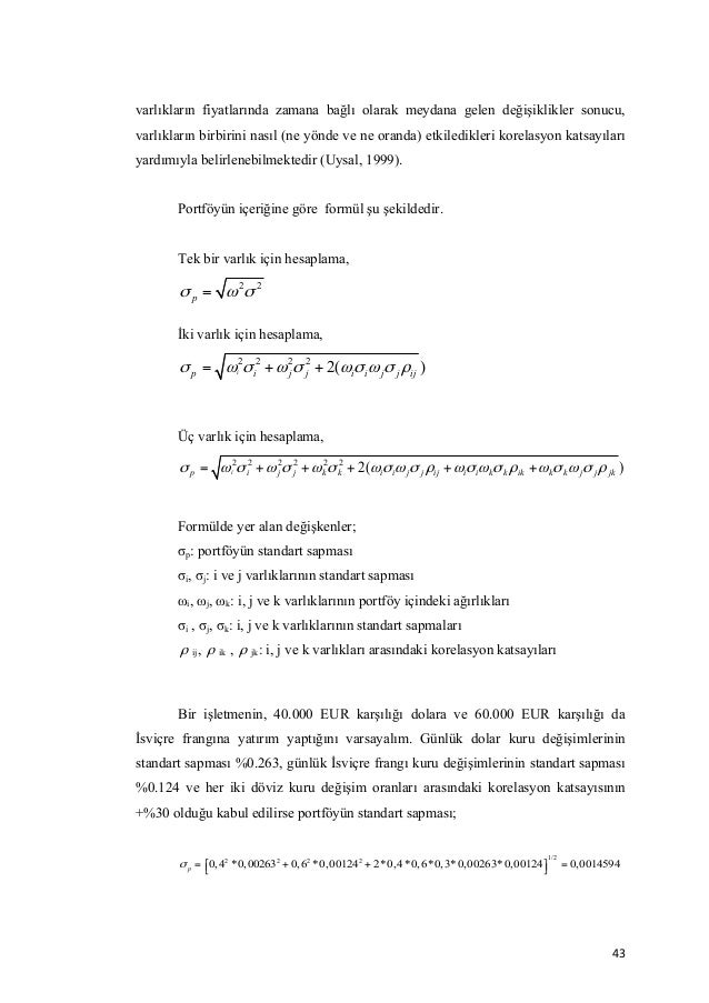 Dissertation on financial risk management