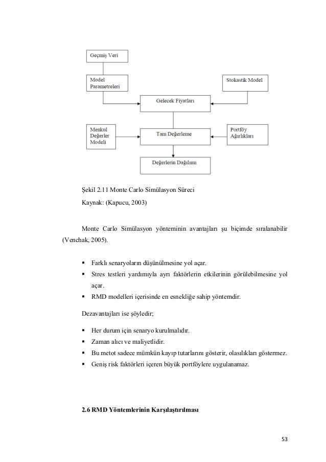 Dissertation on financial risk management