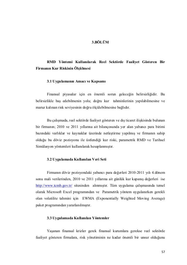 dissertation on financial risk management