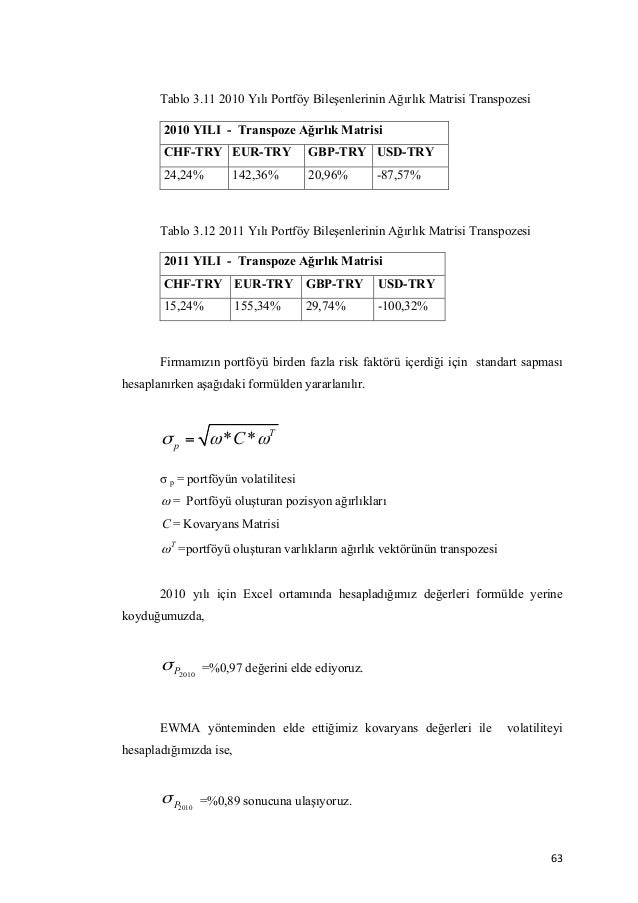Dissertation on financial risk management