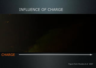 INFLUENCE OF CHARGE




CHARGE

                               Figure from Murata et al 2007
 