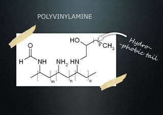 POLYVINYLAMINE
 