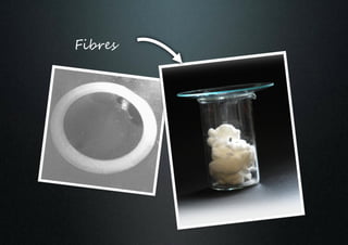 Fibres
 