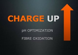 CHARGE UP
  pH OPTIMIZATION

  FIBRE OXIDATION
 