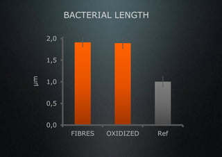 BACTERIAL LENGTH

     2,0


     1,5
µm




     1,0


     0,5


     0,0
            FIBRES   OXIDIZED   Ref
 