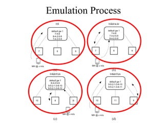 Emulation Process 