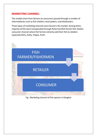 MARKETING CHANNEL-
The market chain from farmers to consumers passed through a number of
intermediaries such as fish retailers, local paikers, and wholesalers.
Three types of marketing channels were found in the market. Among them,
majority of fish were transporated through fisherman/fish farmer-fish retailer-
consumer channel where fish farmers directly sold their fish to retailers
especially Rohu, Katla, Tilapia, Puthi.
Fig : Marketing channel of fish species in Deoghar
FISH
FARMER/FISHERMEN
RETAILER
CONSUMER
 